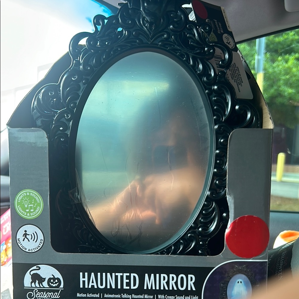 Ghost Mirror- Dollar Tree